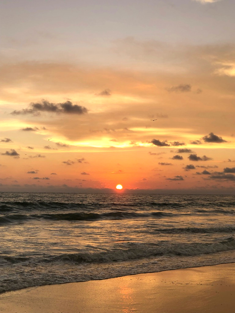 Program & 2 Daily Meals (No Lodging)